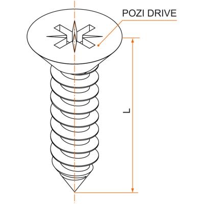 Vis FZ Inox 4,8 x 19 mm